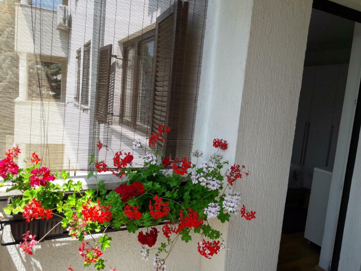 Apartments Ruzica Pula Bagian luar foto